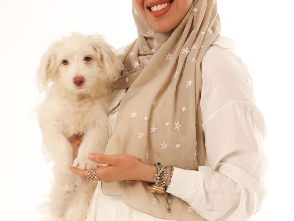 Beige Stars Embroidered Chiffon Scarf